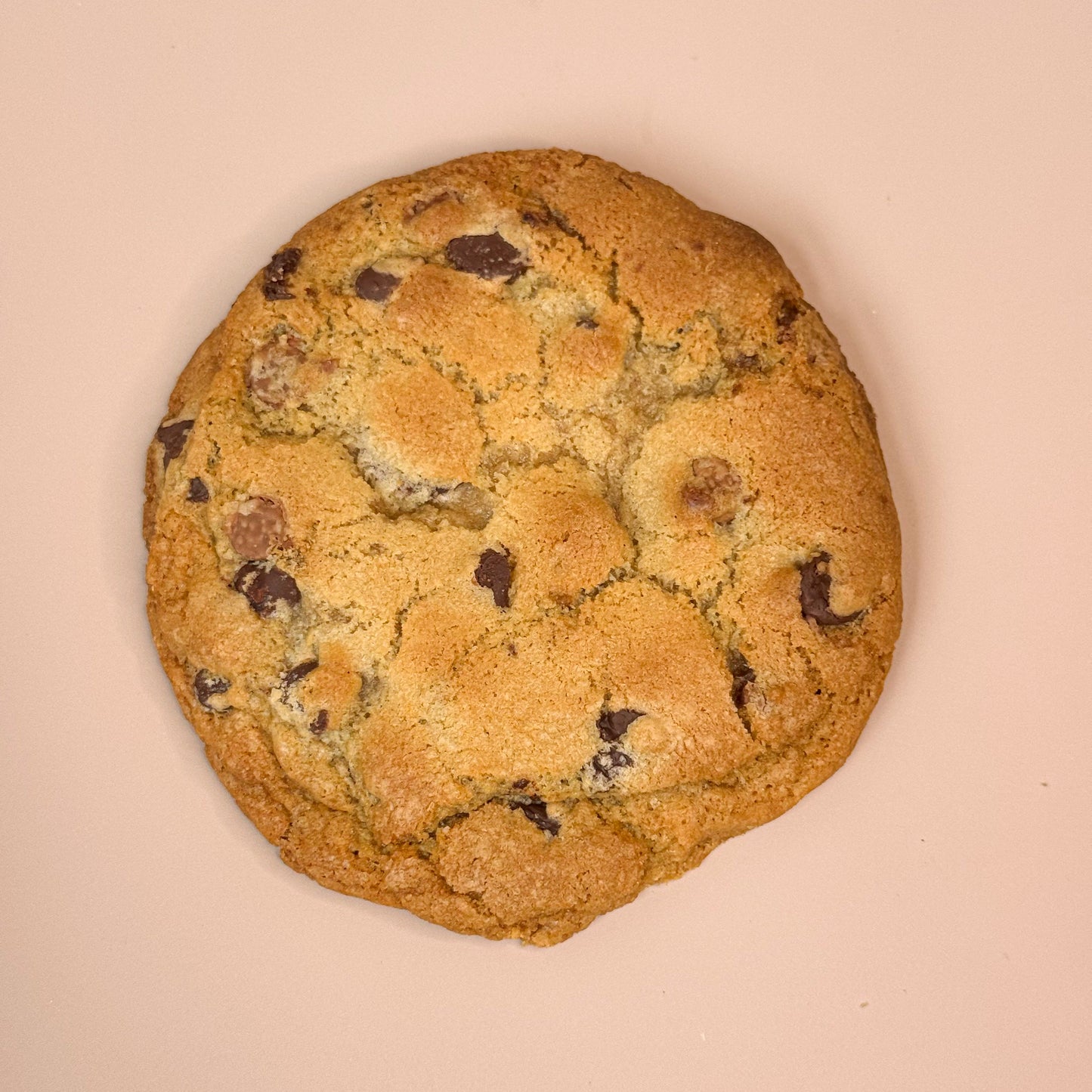 Flat Chocolate Chip